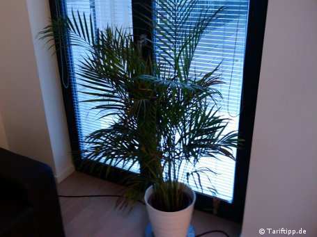 Ob Innenaufnahmen verwackeln oder nicht, h&auml;ngt ma&szlig;geblich von externen Lichtquellen ab